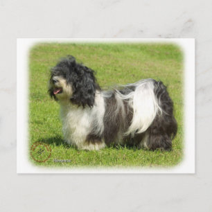 Postal Havanese 8W098D-14