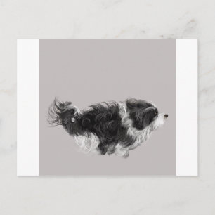 Postal Havanese B&W