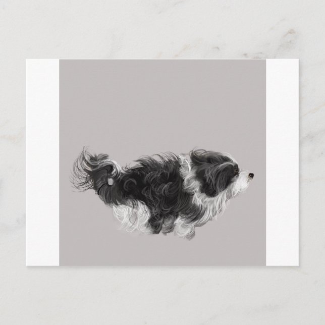Postal Havanese B&W (Anverso)