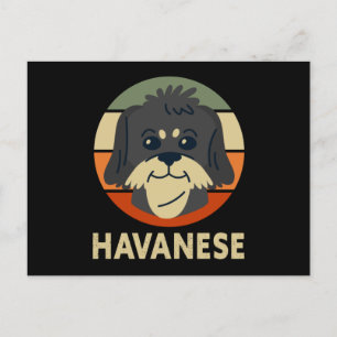 Postal Havanese   Dog Owner Havaneses