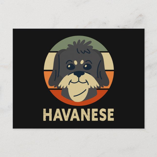 Postal Havanese | Dog Owner Havaneses (Anverso)
