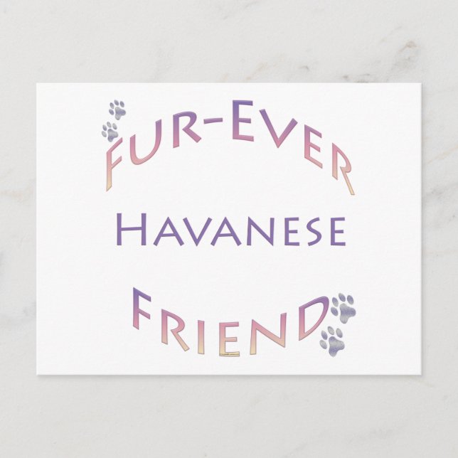 Postal Havanese Furever (Anverso)
