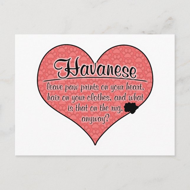 Postal Havanese Paw imprimió humor de perro (Anverso)