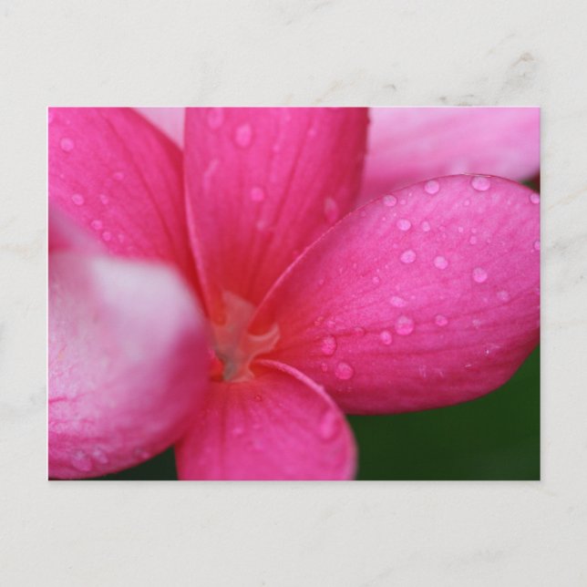 Postal Hawái (Anverso)