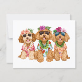 Postal Hawaian Goldendoodle Dogs Flower Lei