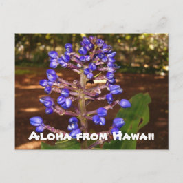 Postal Hawaiana de Hawaii