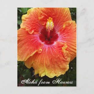Postal hawaiana, hawaii, aloha, hibiscus, flor,
