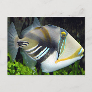 Postal hawaiana para peces tropicales