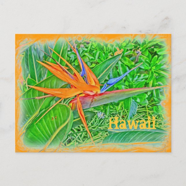 postal Hawaii (Anverso)
