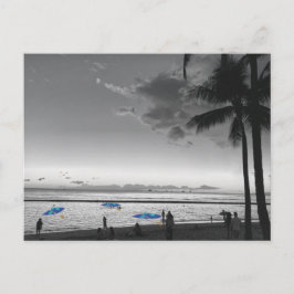 Postal Hawaii Beach and Palm Trecard