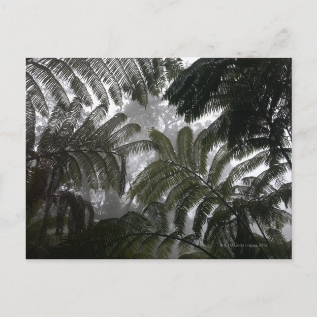 Postal Hawaii, Gran Isla, Hawai Volcanes Nacional (Anverso)