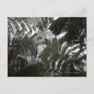 Postal Hawaii, Gran Isla, Hawai Volcanes Nacional