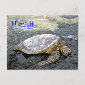 Postal Hawaii - Honu