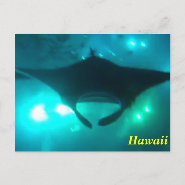 Postal Hawaii Manta Ray (Anverso)