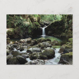Postal Hawaii, Maui, Una cascada fluye hacia el estanque 