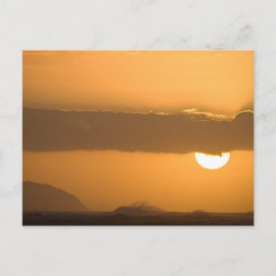 Postal Hawaii Sunset