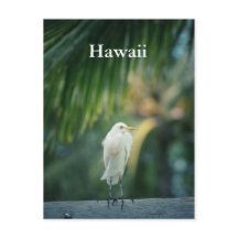 Postal Hawaii White Heron