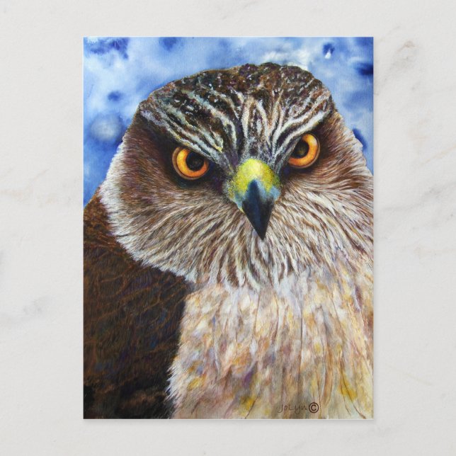 Postal Hawkeyes (Anverso)