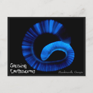 Postal Hawkinsville Georgia US Postcard