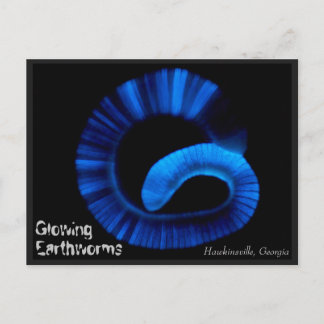 Postal Hawkinsville Georgia US Postcard