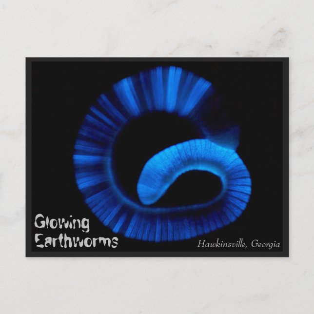 Postal Hawkinsville Georgia US Postcard (Anverso)