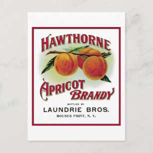 Postal Hawthorne Apricot Brandy