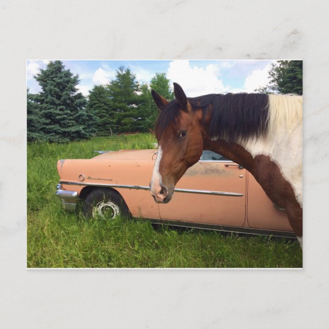 Postal ¡Hay! (Anverso)