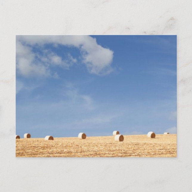 Postal Hay Bales en el campo (Anverso)