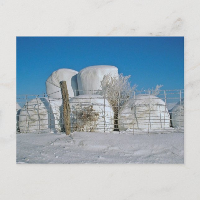 Postal Hay Bales-Postales de la Ronda Amish (Anverso)