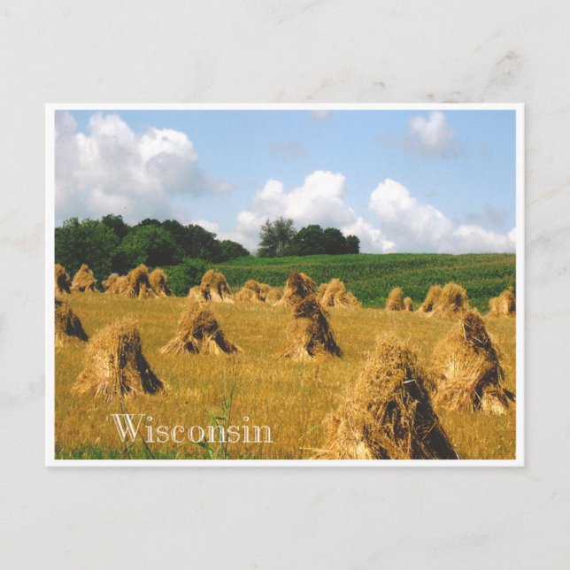 Postal Hay campo (Anverso)