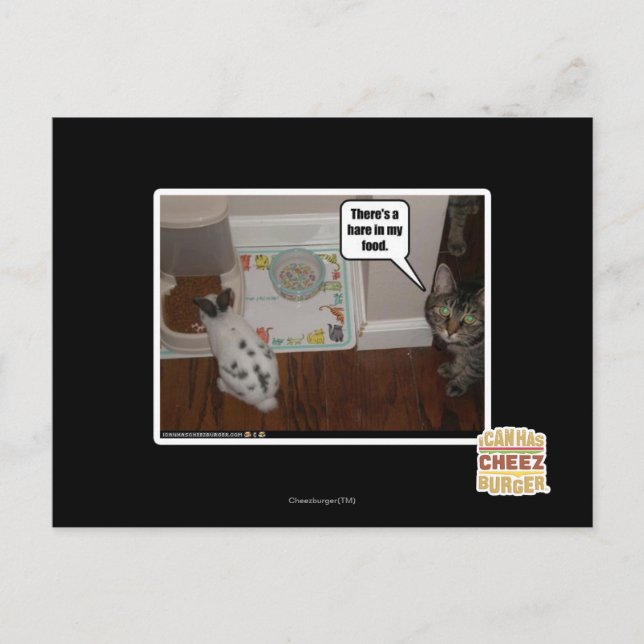 Postal Hay liebres en mi comida (Anverso)