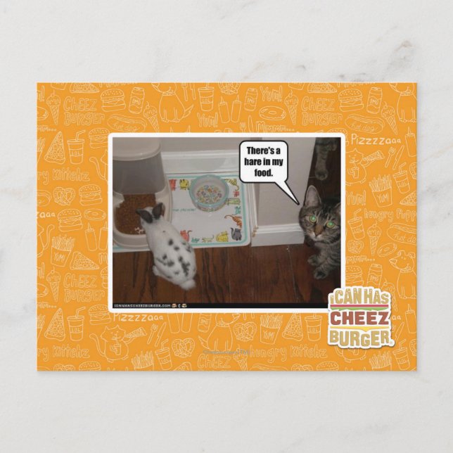 Postal Hay liebres en mi comida (Anverso)