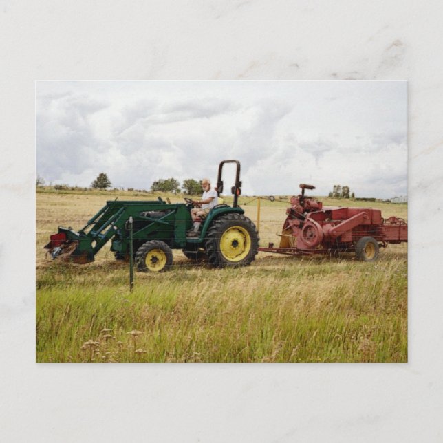 Postal Haying in Golden Ranch Fields (Anverso)