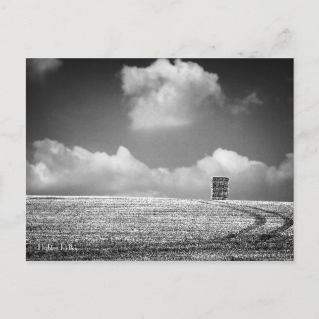 Postal Haystack Y Trampas (Anverso)