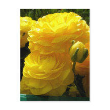 Haz Mío Amarillo