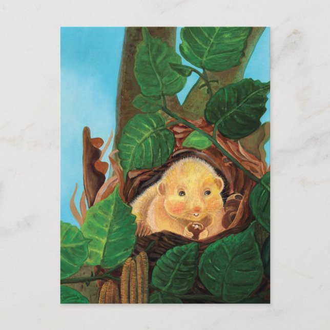 Postal Hazel dormouse comiendo avellanas (Anverso)