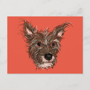 Postal haziepups
