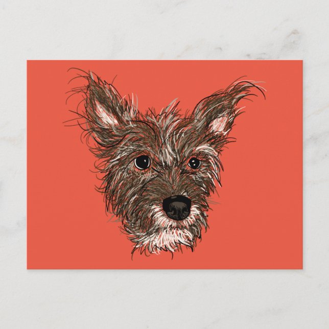 Postal haziepups (Anverso)