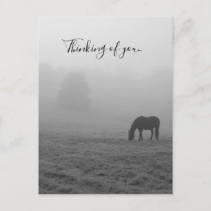 Postal Hazzy Grazing Pensando En La Escala De Grises De T