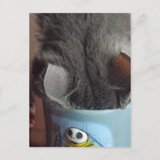 POSTAL ¡¡HE TENIDO MI CAFÉ!!