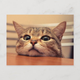 Postal Head on table