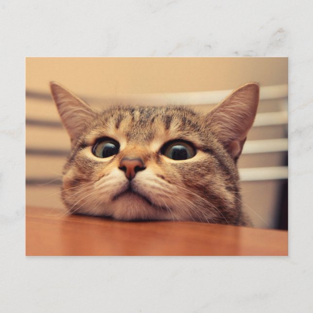 Postal Head on table (Anverso)