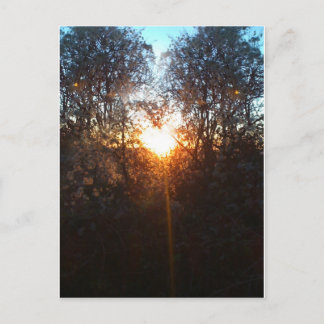 Postal heartbeamdec2010