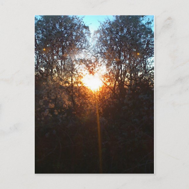 Postal heartbeamdec2010 (Anverso)