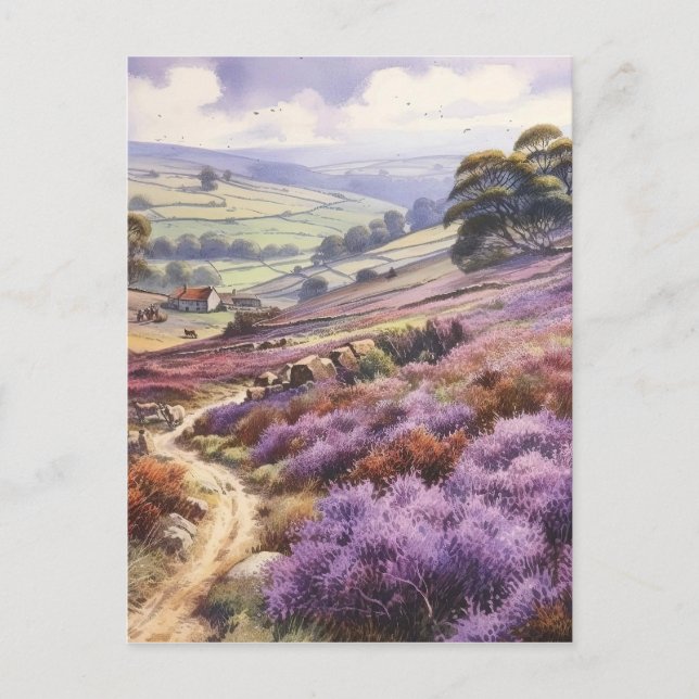Postal Heather Moorland Field En Un Paisaje Valle (Anverso)