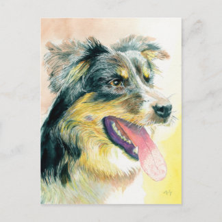 Postal Heather the Border Collie Postcard