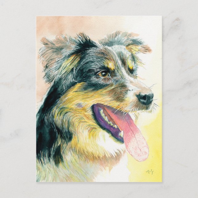 Postal Heather the Border Collie Postcard (Anverso)