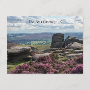 Postal Heather y Stone rosas