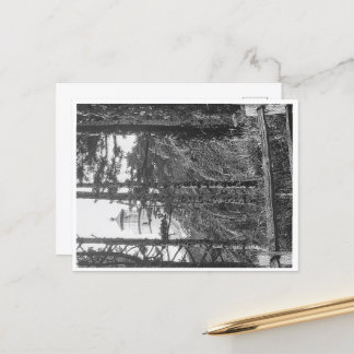 Postal Heceta Head Lighthouse Postcard b&B