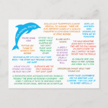 Hechos divertidos sobre animales adorables y color